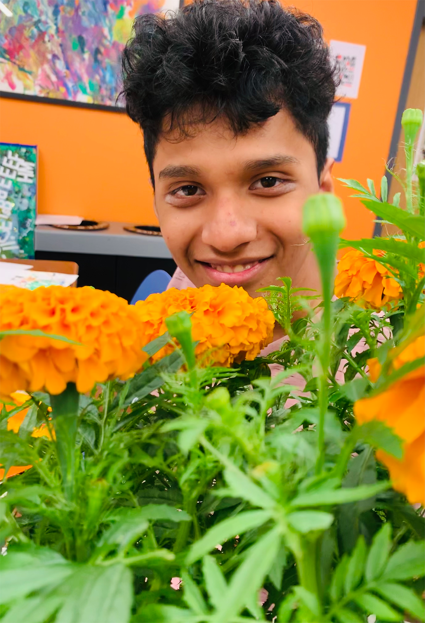 marigold1